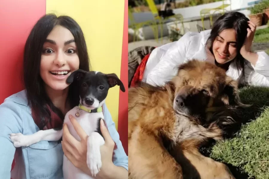 Adah Sharma says The Indian film industry is a very supportive place and shares a video of dogs she met on set !!