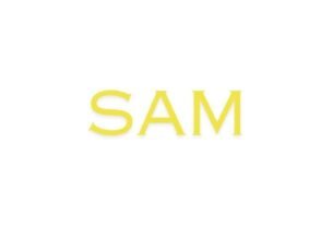 Sam: A Premier Book Publisher in Ahmedabad