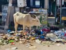 Swachhata Hi Seva 2024: A Flop Show in Anantapur Municipality