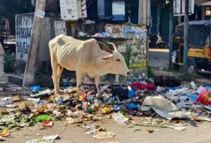 Swachhata Hi Seva 2024: A Flop Show in Anantapur Municipality